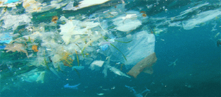 Pollution: EU Lawmakers To Ban Throw-Away Plastics