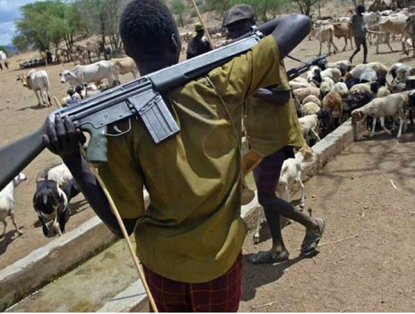 Northwest Governors Grant Amnesty to Cattle Rustlers, Others