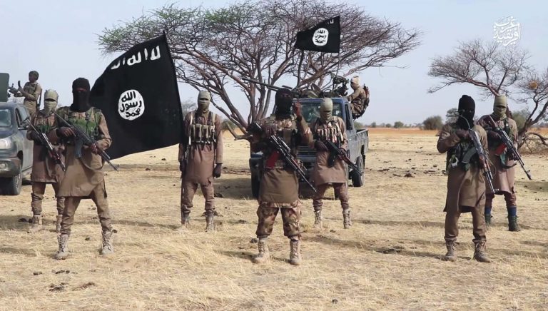 Boko Haram hoist flag in Niger village, seize residents’ wives, displace 50 communities