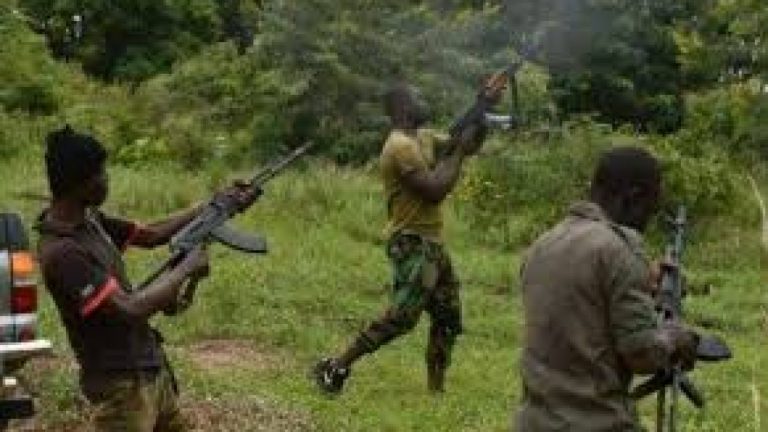 Gunmen launch fresh attack in Kaduna, kill six-year-old girl, six others