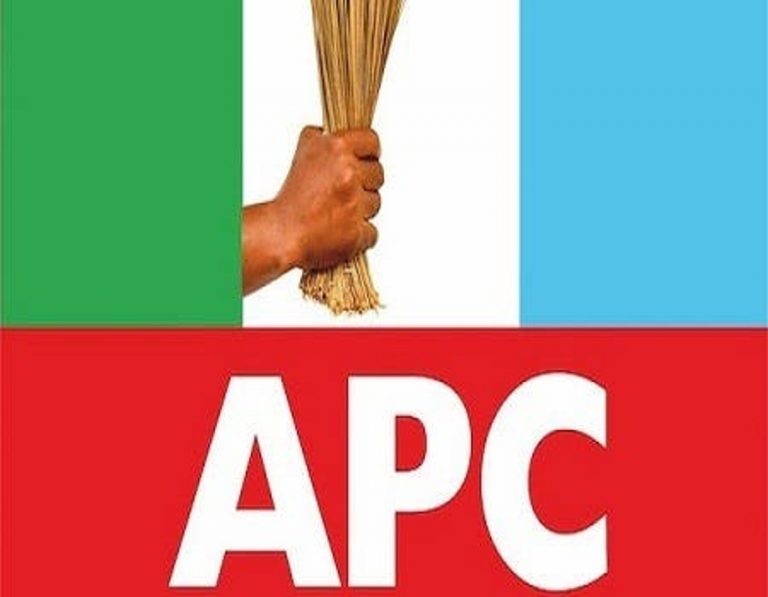 Nigerian youths not ready to be leaders-APC chieftain