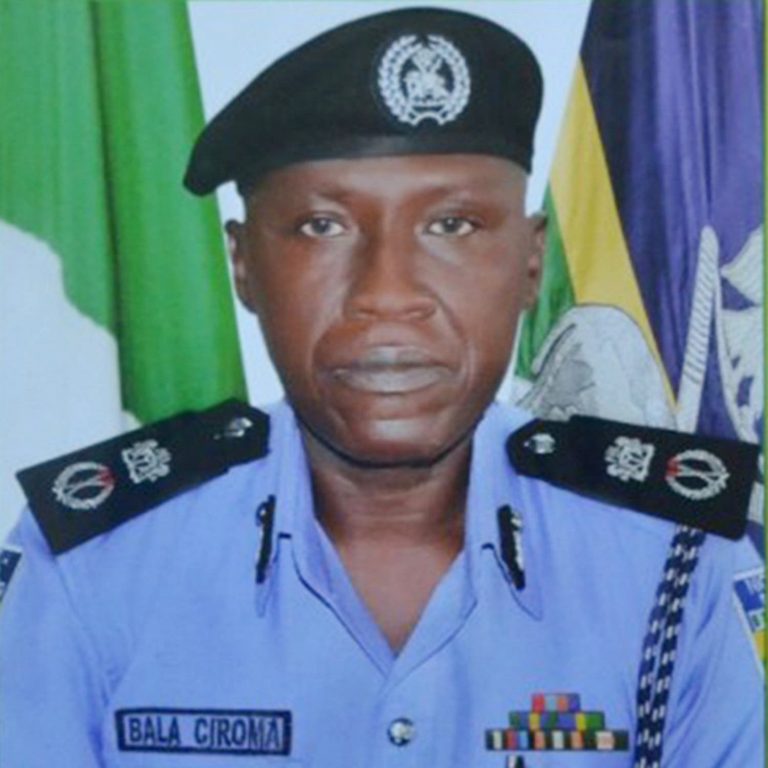 Bala Ciroma, FCT Police Commissioner, Two Others Tipped To Replace Magu As EFCC Boss