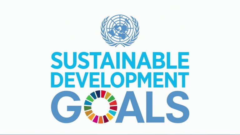 Corruption: N23bn Traced to a Level 12 Officer In The Office For Sustainable Development Goals
