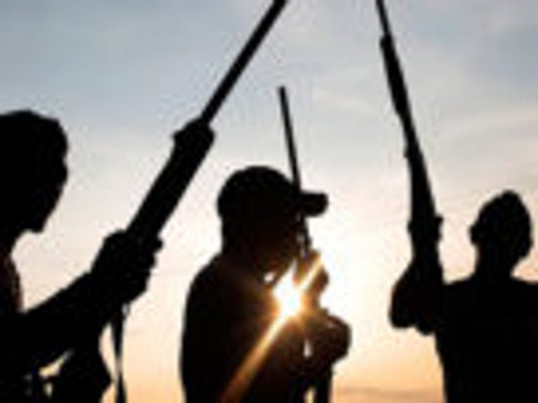 Gunmen write 9 Anambra LGAs, threaten attack