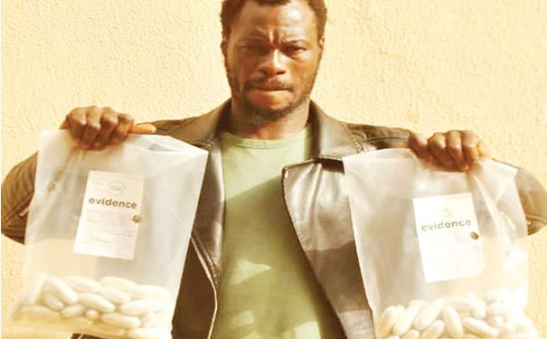 NDLEA apprehends trans-border drug trafficker with N1bn cocaine concealed in yoghurt bottles