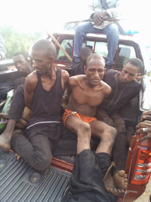 6 bandits arrested by Amotekun, vigilantes in Oyo forest