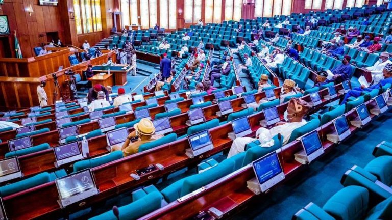 House of Reps passes amended NEDC Act Bill  for second reading