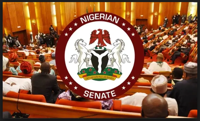 False Petitioners Face N100,000 Fine and Two Years Imprisonment, Senate Decrees