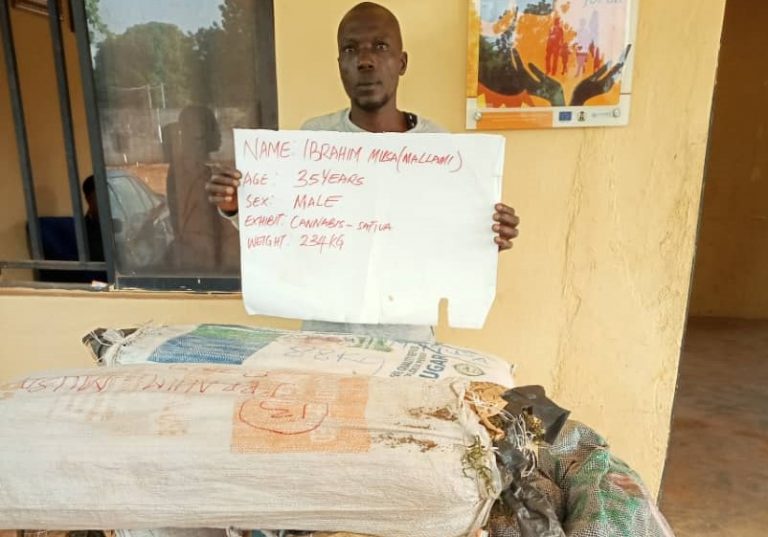 NDLEA busts inter-state drug cartels in Kogi, Nasarawa, Benue, recovers 843kg skunk, cocaine