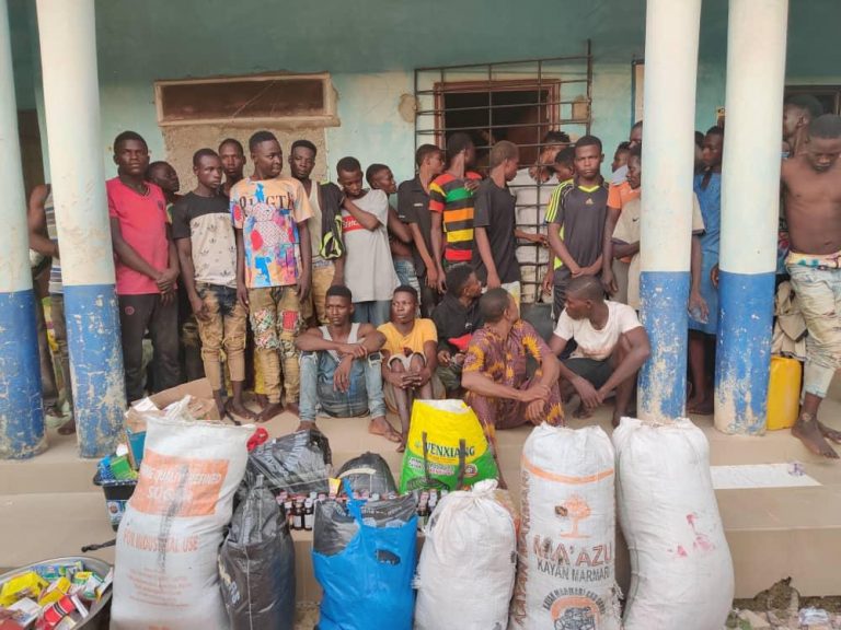 NDLEA launches fresh raids in Ondo, Nasarawa, Benue, arrests 43 drug dealers