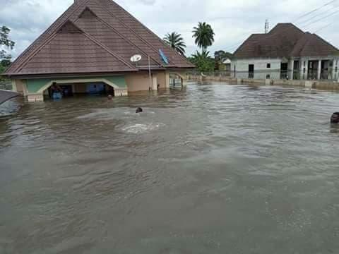Flood kills 23, displaces 116,084 in Benue