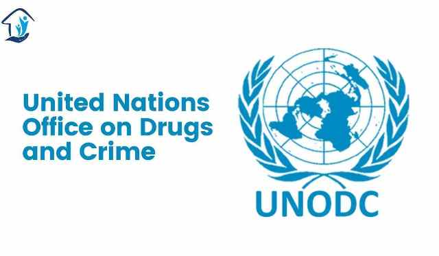 UN applauds Nigeria over first successful prosecution, conviction of pirates