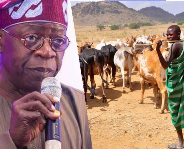 Fulani herdsmen endorse Tinubu as president in 2023 – MACBAN