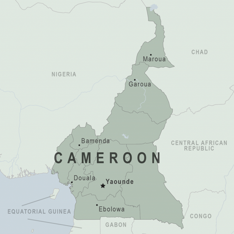 Cameroon seeks Accident Investigation Bureau support on aircraft accident investigation