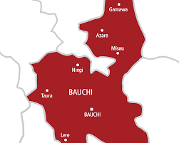 Gastroenteritis: Bauchi government to spend N15 million on prevention, treatment and others