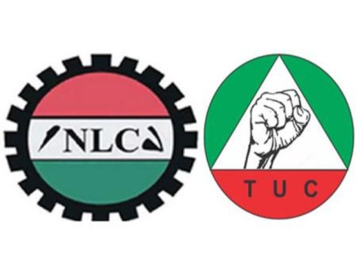 TUC, NLC Split as DSS Warns Labour Against Planned Protest