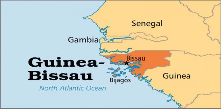 Former Guinea-Bissau President’s Son Sentenced to Prison